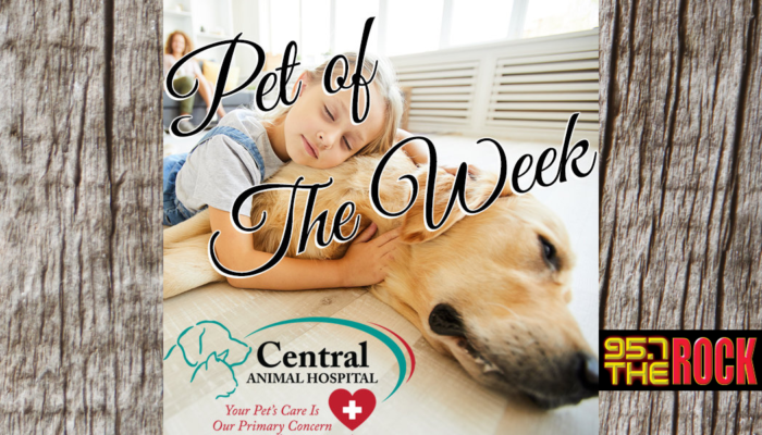 Pet of the Week Cover
